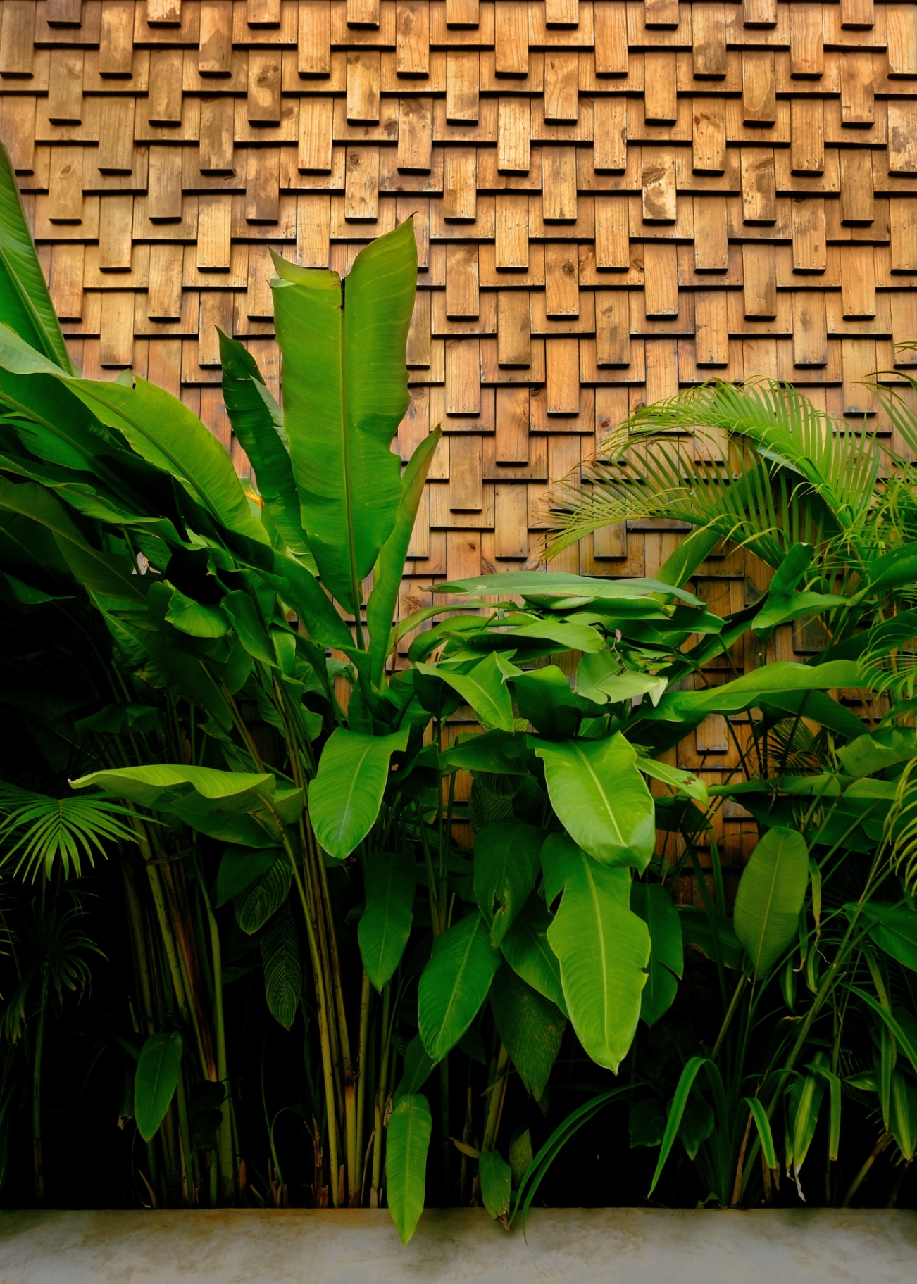 Woven timber shingle wall behind dense tropical planting